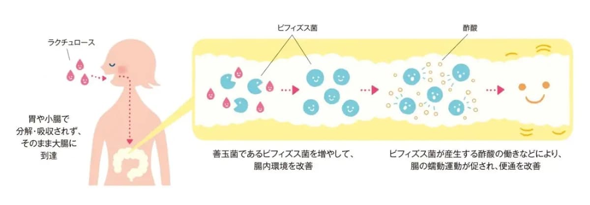 ミルクオリゴ糖ラクチュロースシロップ（森永乳業）